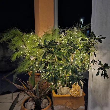 Apartment Melani