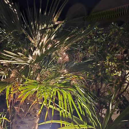 Apartment Melani Vir